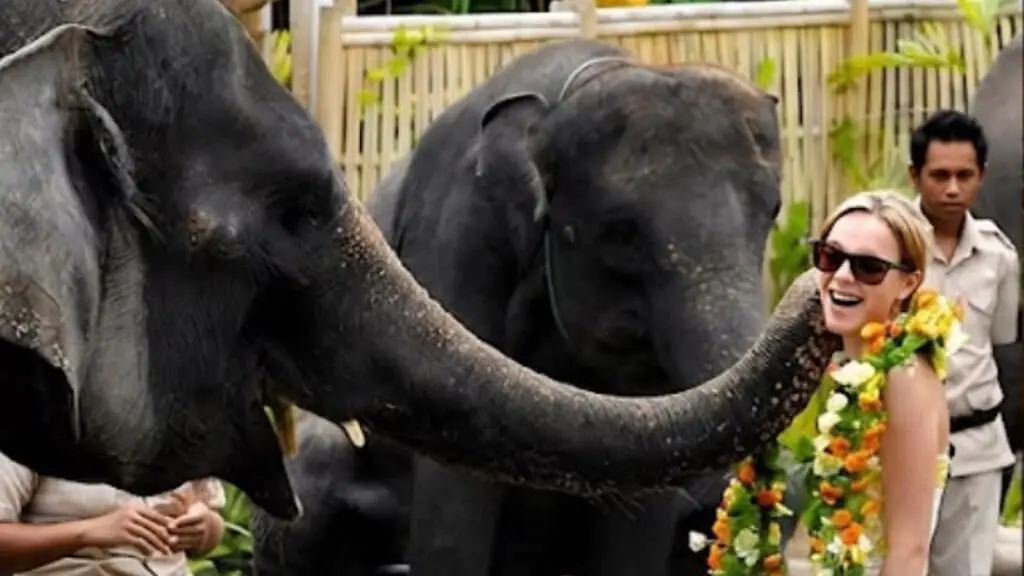 A laughing woman wearing a flower garland as an elephant reaches its trunk towards her, with two keepers in uniform beside them