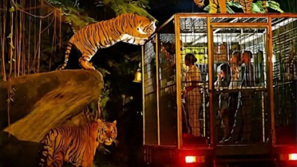 Two tigers climbing onto the roof of a lit, caged safari truck at night, with passengers watching from inside