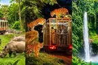 Three scenes side by side — a striped safari truck beside zebras and a rhino, tigers on a caged truck at night, and twin waterfalls in a green gorge
